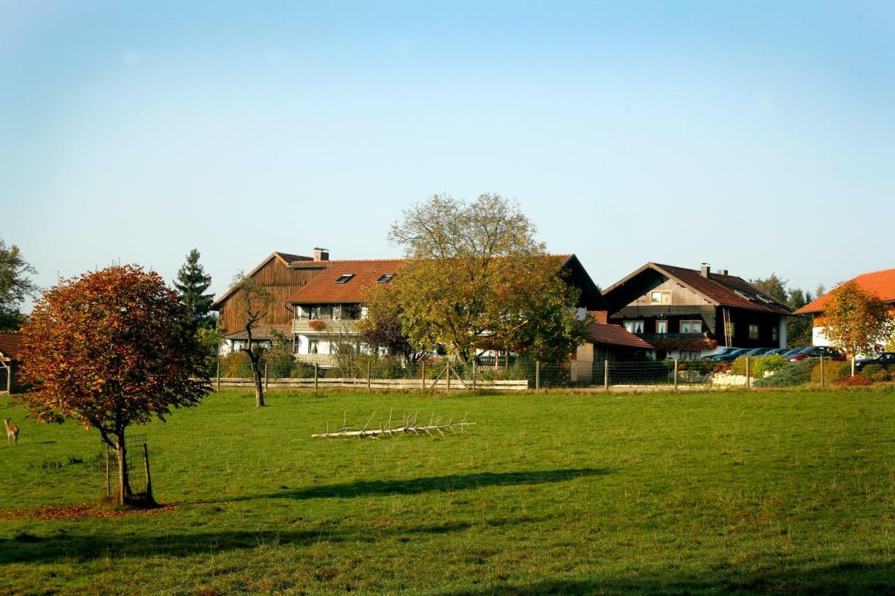 Апартаменты Giglerhof Бад-Бирнбах Экстерьер фото